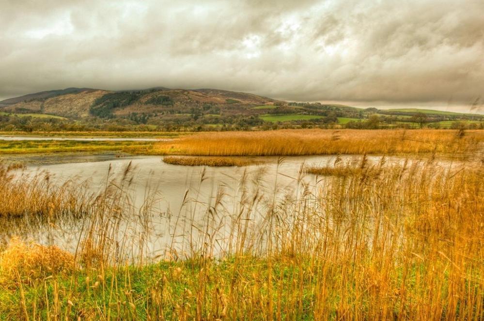 Shelduck Cottage Mainsriddle ภายนอก รูปภาพ